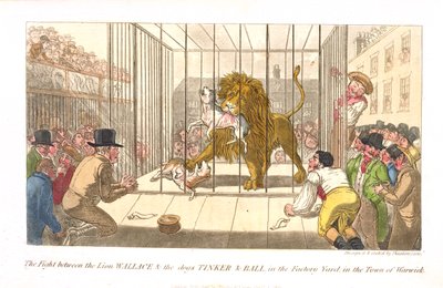 The Fight Between the Lion Wallace and the Dogs Tinker and Ball in the Factory Yard in the Town of Warwick, from 